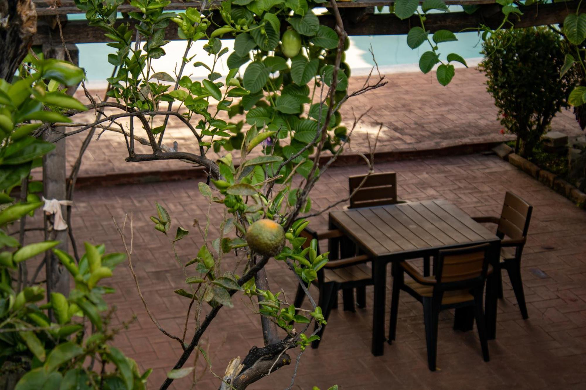 Volcano Hostal Y Restaurante 圣萨尔瓦多 外观 照片